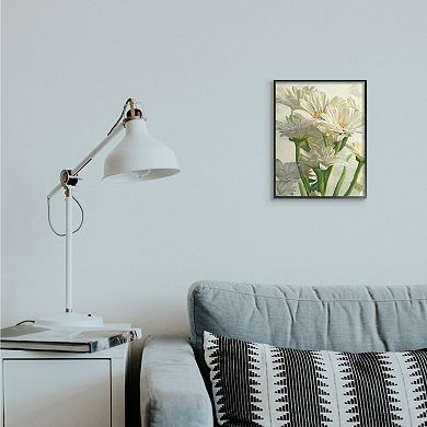 Stupell Home Decor Study of White Daisy Petals Spring Florals Framed Wall Art