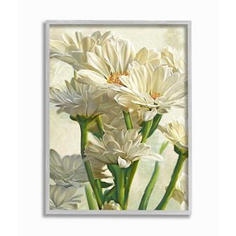 Stupell Home Decor Study of White Daisy Petals Spring Florals Framed Wall Art