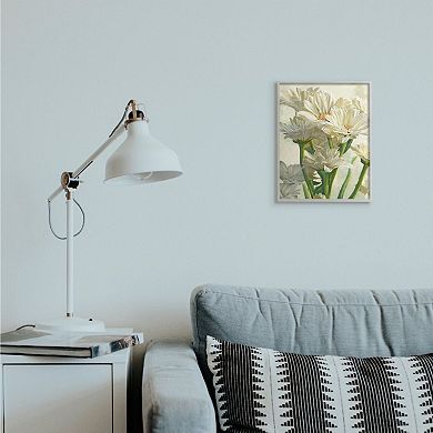 Stupell Home Decor Study of White Daisy Petals Spring Florals Framed Wall Art