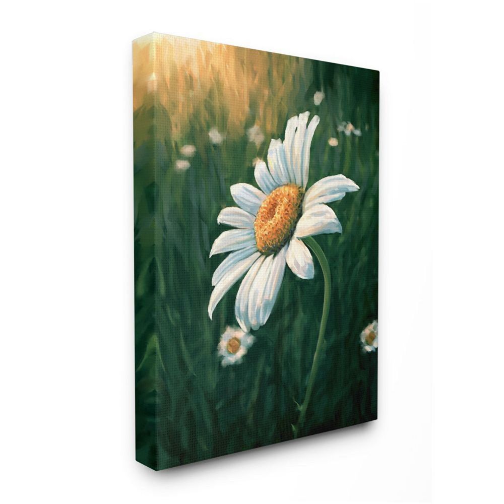 Stupell Home Decor Daisy Details in Field of Spring Flowers Canvas Wall Art