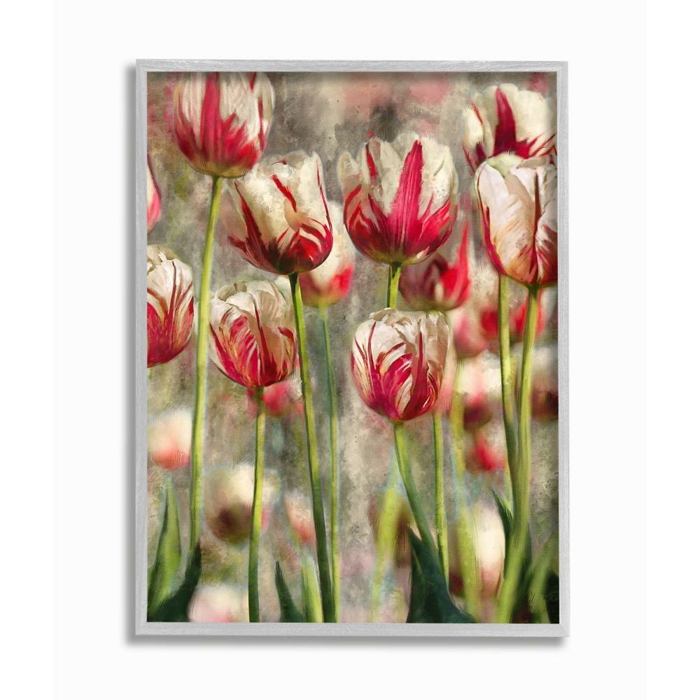 Stupell Home Decor Spring Tulips in Flower Field Pink White Framed ...