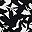 Black Organic Leaves