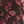 Brown Ground Floral