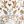 Cream Fall Floral