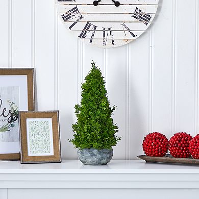 nearly natural Cypress Cone Artificial Plant Floor Decor