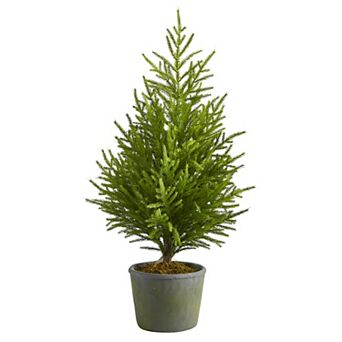 nearly natural 3-ft. Norfolk Island Pine Artificial Christmas Tree