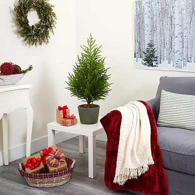 nearly natural 3-ft. Norfolk Island Pine Artificial Christmas Tree