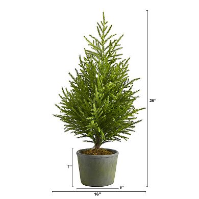 nearly natural 3-ft. Norfolk Island Pine Artificial Christmas Tree