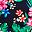 Deep Sea Navy Rosella