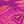 Violet Stipple Palm