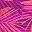 Violet Stipple Palm