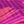 Violet Stipple Palm