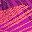 Violet Stipple Palm
