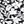 Black Havana Floral