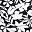 Black Havana Floral