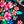 Deep Sea Navy Bright