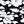 Black Blossom Floral