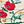 Egret Poppy Floral