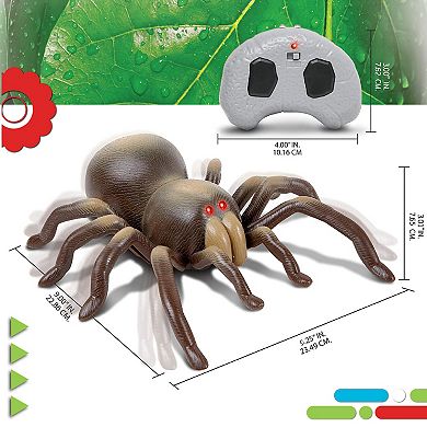 Discovery RC Tarantula Spider Toy