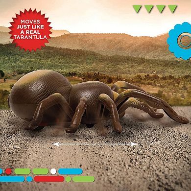 Discovery RC Tarantula Spider Toy