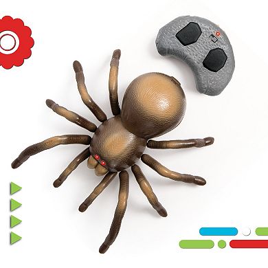 Discovery RC Tarantula Spider Toy