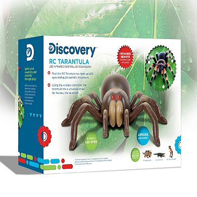 Discovery RC Tarantula Spider Toy