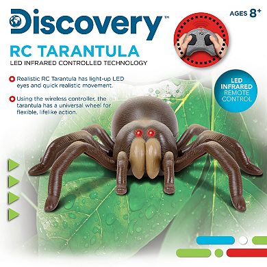 Discovery RC Tarantula Spider Toy