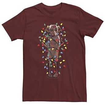 Men's Harry Potter Dobby Christmas Lights Portrait Tee