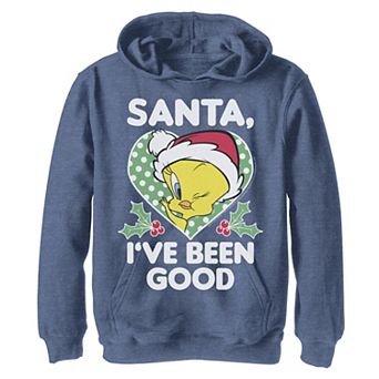 Boys 8-20 Looney Tunes Christmas Tweety Santa I've Been Good Graphic Fleece Hoodie
