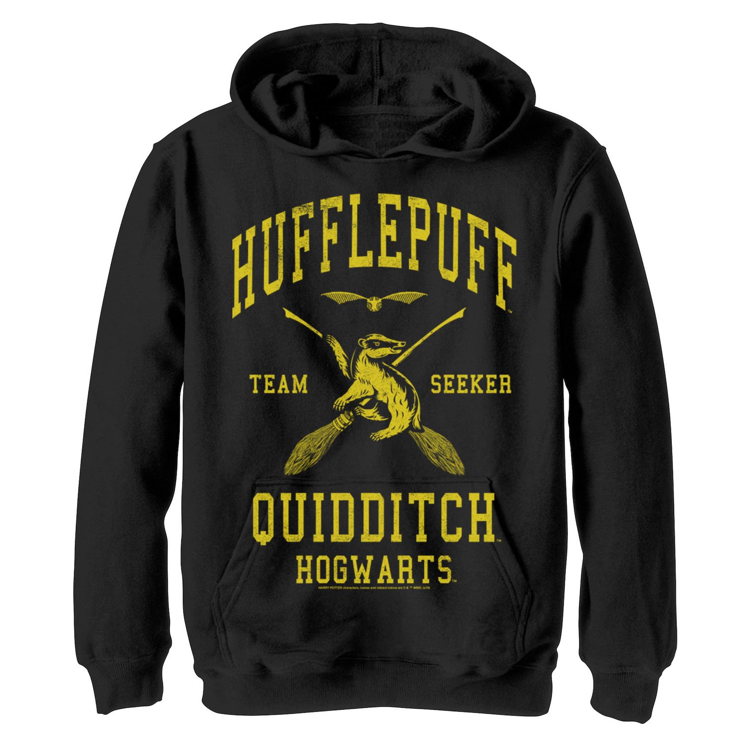 Image for Harry Potter Boys 8-20 Hufflepuff Quidditch Team Seeker Graphic Fleece Hoodie at Kohl's.