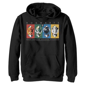 Boys 8-20 Harry Potter Hogwarts House Symbols Graphic Fleece Hoodie