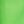 Green Gecko Neon