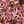 Brown Floral