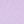 Lilac Petal