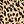 Tan Jana Leopard