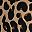 Tan Wild Cheetah