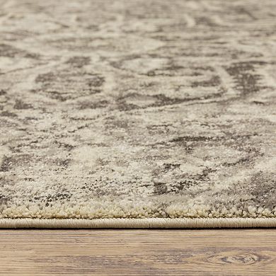 StyleHaven Franklin Faded Medallion Area Rug