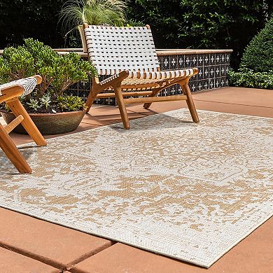 Jill Zarin Dubai Indoor Outdoor Rug