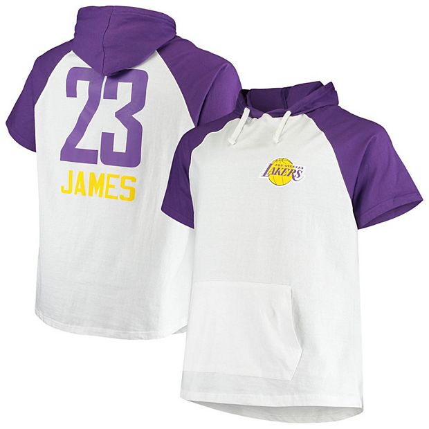 Men's Los Angeles Lakers LeBron James Fanatics Branded Purple