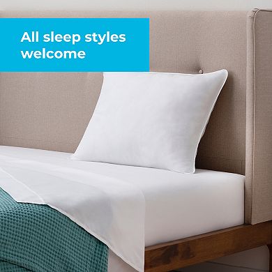 Linenspa Signature Bed Pillow Standard Plush