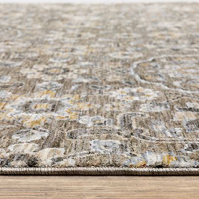 StyleHaven Mascotte Borderless Floral Traditional Fringed Area Rug