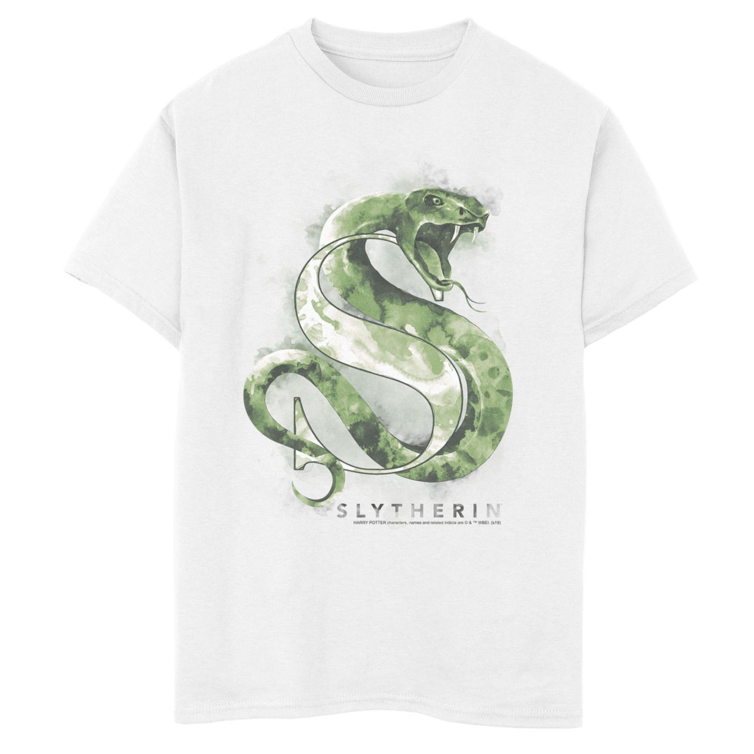 Image for Harry Potter Boys 8-20 Slytherin House Watercolor Graphic Tee at Kohl's.