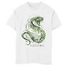Boys 8-20 Harry Potter Slytherin House Watercolor Graphic Tee