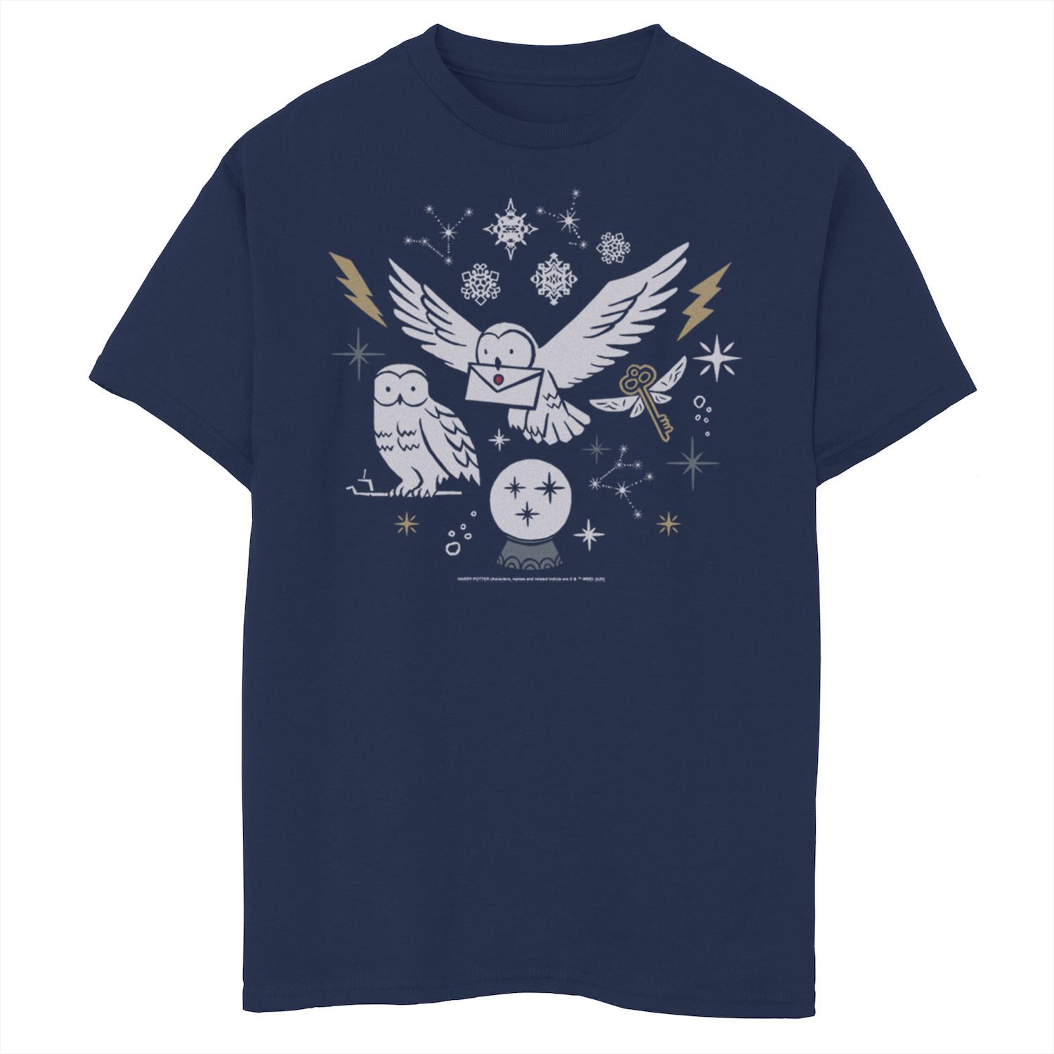 Image for Harry Potter Boys 8-20 Christmas Winter Owls Graphic Tee at Kohl's.
