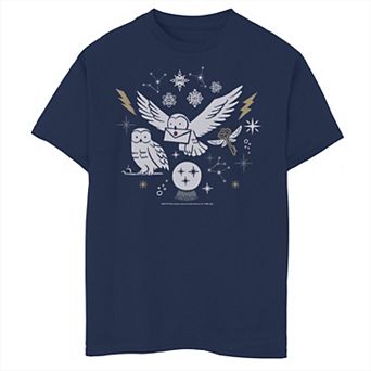Boys 8-20 Harry Potter Christmas Winter Owls Graphic Tee