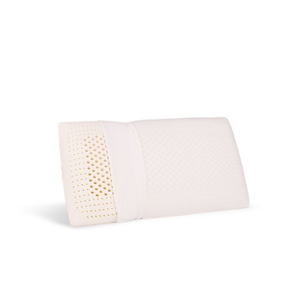 Standard Latex Foam Pillow with Cover