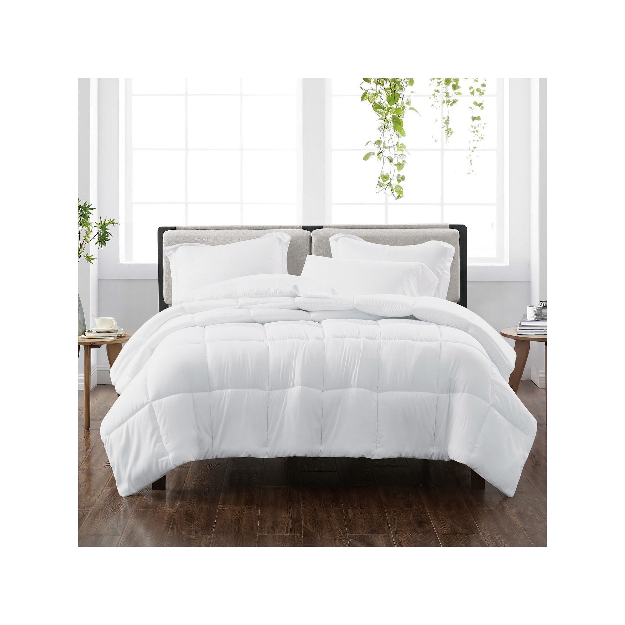 Cannon Solid Comforter Set with Shams, White