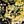 Navy Blue Yellow
