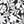 Black Havana Floral