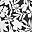 Black Havana Floral